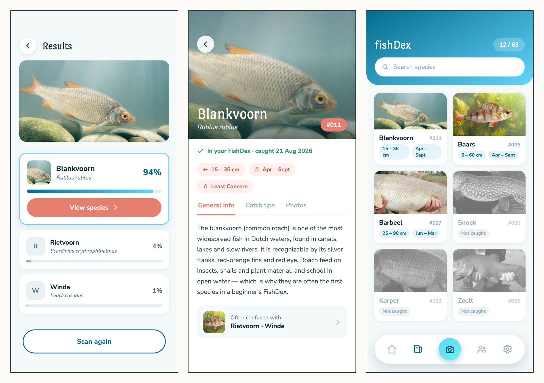 Three FishFinder screens side by side: a scan result ranking blankvoorn at 94%, the hand-written blankvoorn species page, and the FishDex collection with caught and uncaught species